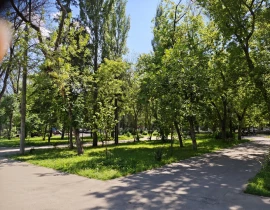 1-комнатная квартира, 43 м2 , 8 этаж, Квартал, 3 - фото 7