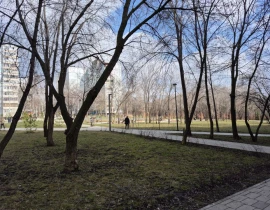 1-комнатная квартира, 29.8 м2 , 8 этаж, Воронежская ул, 141 - фото 23