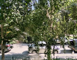 1-комнатная квартира, 40.8 м2 , 1 этаж, Калинина, 26 - фото 12
