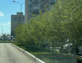 1-комнатная квартира, 38 м2 , 1 этаж, Земская, 9 - фото 2