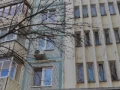 1-комнатная квартира, 29.8 м2 , 8 этаж, Воронежская ул, 141 - фото 21