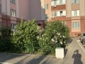 1-комнатная квартира, 36 м2 , 5 этаж, Николаевский проспект, 5 - фото 17