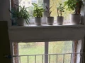 2-комнатная квартира, 44.4 м2 , 5 этаж, Урицкого ул, 18 - фото 15