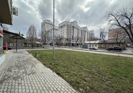 Нежилое помещение 271.4 кв.м. Маяковского, 44 - фото 15