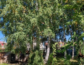 Участок 9.61 сот., тер. Московское шоссе 23 км, 345 - фото 2