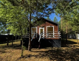 Дом 60 кв.м, Самарская область, Красноярский район, Новый Буян, с.пос. Сосновый Бор СДТ  - фото 5