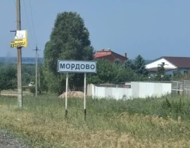 Участок 30000 сот., с. Мордово ул. Верхняя, 6 - фото 4