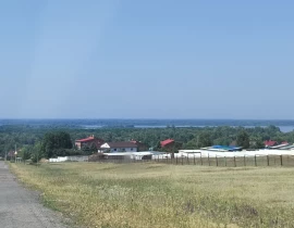 Участок 30000 сот., с. Мордово ул. Верхняя, 6 - фото 5