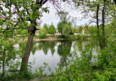 Коттедж 391 кв.м. г. Самара, пос. Красный Пахарь, Березовая аллея, д. 202а  - фото 17