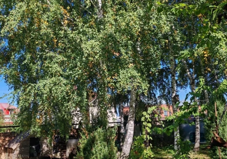 Участок 961 кв.м. тер. Московское шоссе 23 км, 345 - фото 2