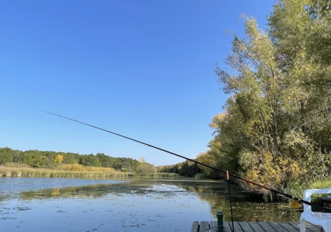 Дом 346.5 кв.м. п. Якобьевка, ул. Волжская, 1  - фото 3