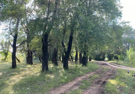 Участок 4600 кв.м. Земельный участок с.Черноречье Волжский район Самарская область - фото 8