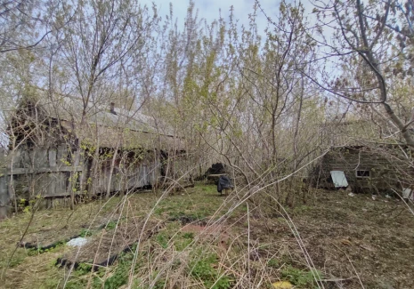 Дом 30.2 кв.м. с. Мулловка, Широкая, 53 - фото 4