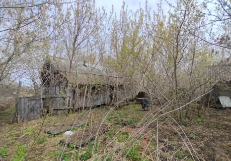 Дом 30.2 кв.м. с. Мулловка, Широкая, 53 - фото 5