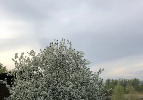 Дом 346.5 кв.м. п. Якобьевка, ул. Волжская, 1  - фото 10