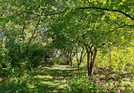 Участок 961 кв.м. тер. Московское шоссе 23 км, 345 - фото 5