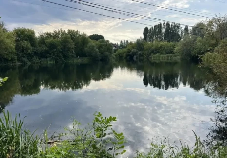 Коттедж 400 кв.м. Березовая аллея, 246 - фото 24