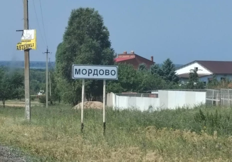 Участок 3000000 кв.м. с. Мордово ул. Верхняя, 6 - фото 4