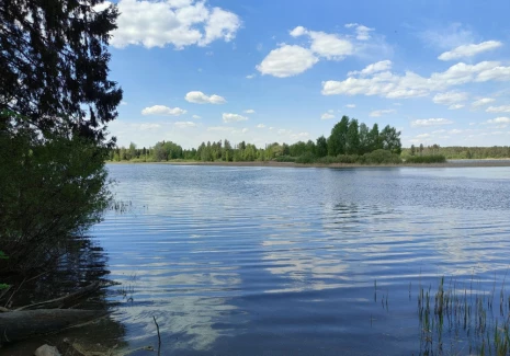 Дом 62.91 кв.м. Дома, м.о. ИСТРА, КП   - фото 20