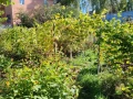 Участок 961 кв.м. тер. Московское шоссе 23 км, 345 - фото 6