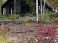 Дом 185 кв.м. Дома, м.о. ИСТРА, КП - фото 9