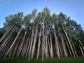 Участок 651 кв.м. Земельные участки, м.о. ИСТРА, КП - фото 10