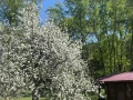 Дом 346.5 кв.м. п. Якобьевка, ул. Волжская, 1  - фото 13