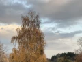 Дом 346.5 кв.м. п. Якобьевка, ул. Волжская, 1  - фото 11