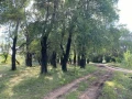 Участок 4600 кв.м. Земельный участок с.Черноречье Волжский район Самарская область - фото 8