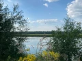 Участок 4600 кв.м. Земельный участок с.Черноречье Волжский район Самарская область - фото 11