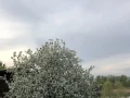 Дом 346.5 кв.м. п. Якобьевка, ул. Волжская, 1  - фото 10