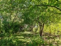 Участок 961 кв.м. тер. Московское шоссе 23 км, 345 - фото 5
